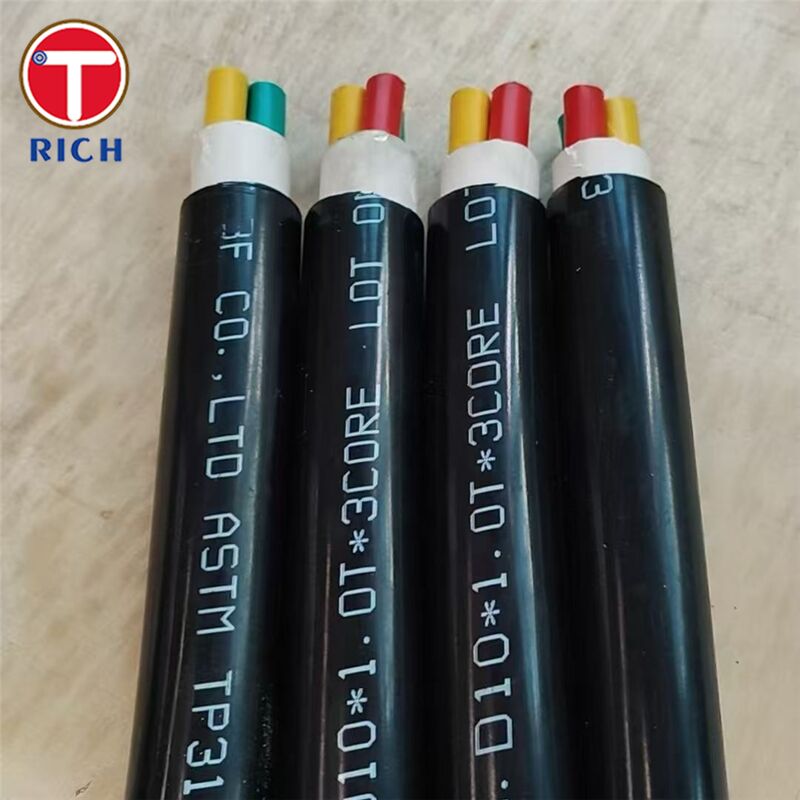 배 건설용 플라스틱 코팅을 가진 다중 코어 스테인리스 스틸 무縫管 304L/316L/Duplex 2205 등급 및 냉 당기/온도 롤링 기술