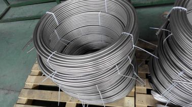 좋은 가격 ASTM A213, ASTM A269의 히이터 배관 선을 위한 EN10216-5 이음새가 없는 SS 관 스테인리스 코일 배관 온라인으로
